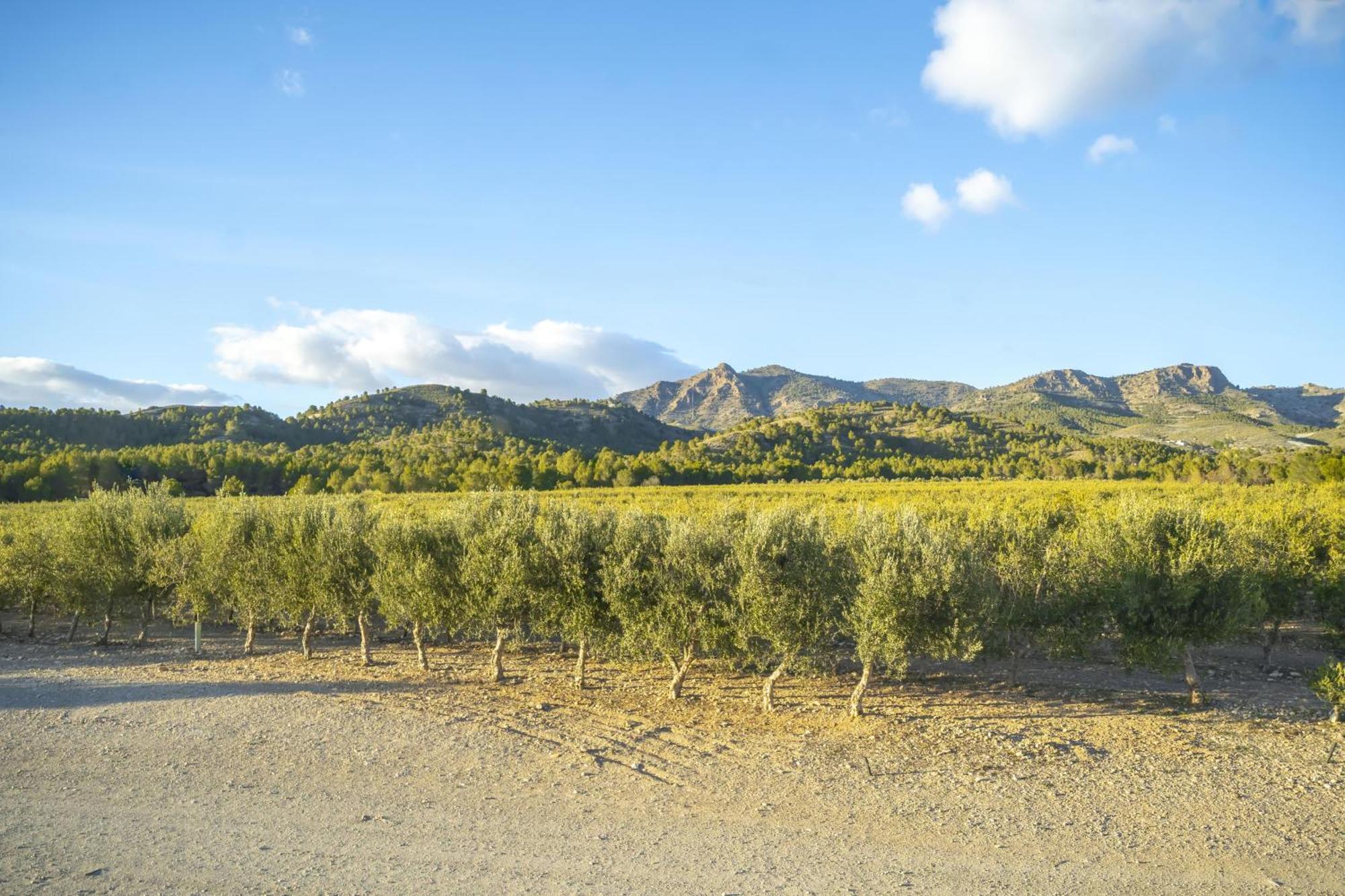 Finca El Espilo Lucar ภายนอก รูปภาพ